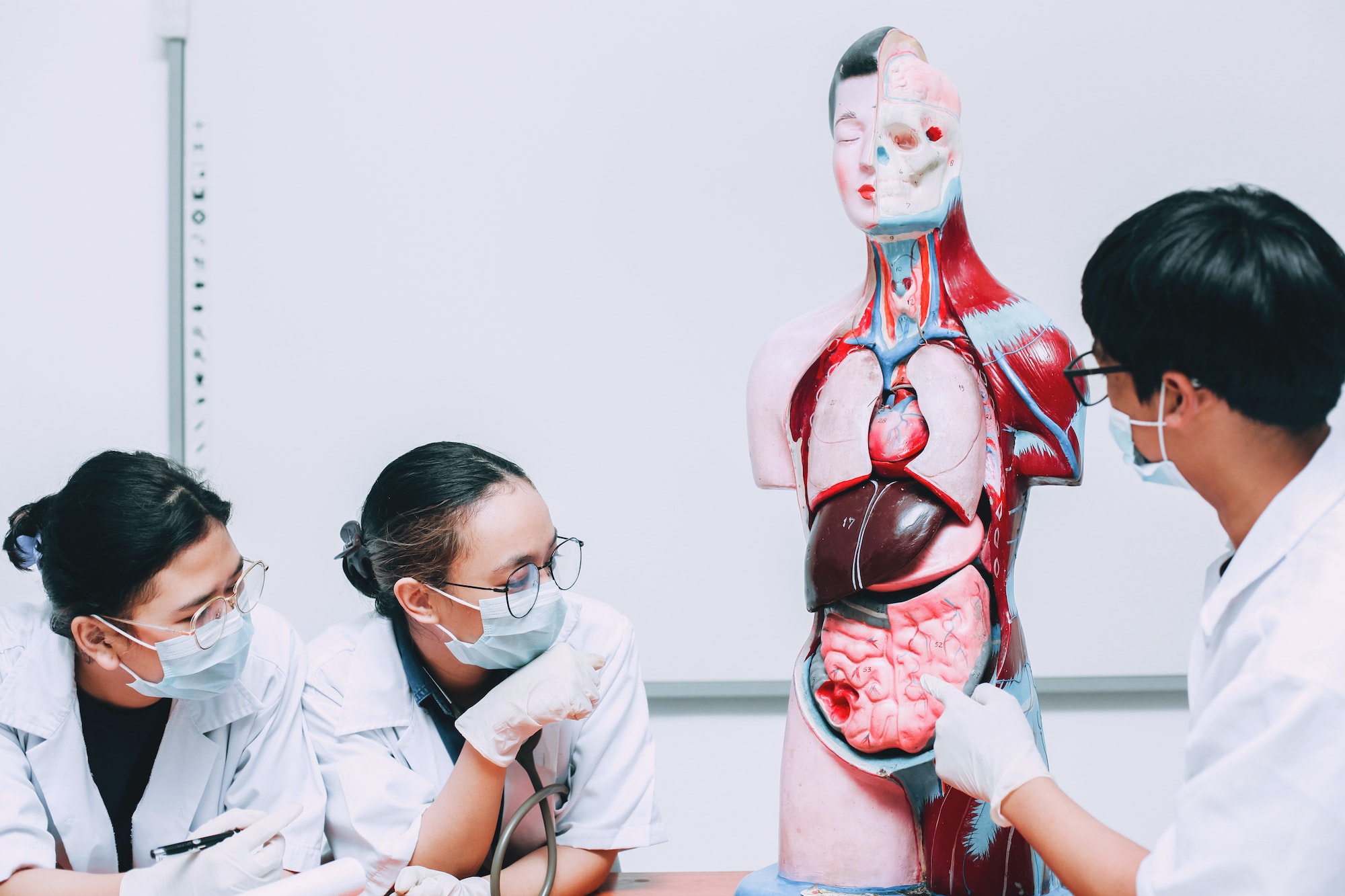 Asian Medical Student