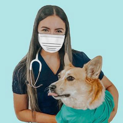 @WhiteCoatsandCorgis